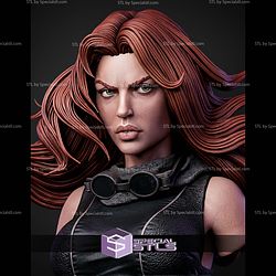 Mara Jade Portrait Bust H265mm STL Files