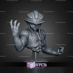 Meruem Hunter x Hunter Bust 136mm STL Files