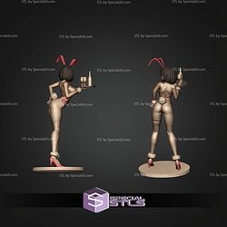 Nikke Milk Blooming Bunny STL Files