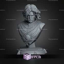 Prince of Persia Bust 130mm STL Files