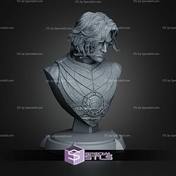 Prince of Persia Bust 130mm STL Files