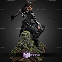 Shiori the Ninja 1-10 STL Files