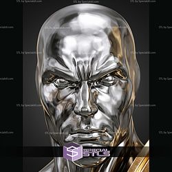 Silver Surfer Portrait Bust 299mm STL Files