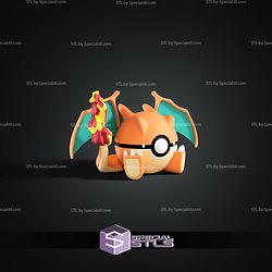 Super Basic Pokemon Charizard Pokeball
