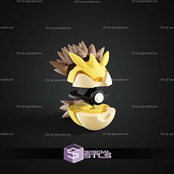 Super Basic Pokemon Sandslash Pokeball