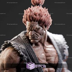 Akuma Super Detail STL Files