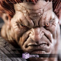 Akuma Super Detail STL Files