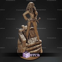 Anna Valerious The Vampire Hunter STL Files