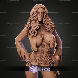 Anna Valerious The Vampire Hunter STL Files