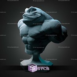 Bust of Zitz STL Files