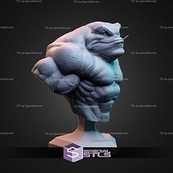Bust of Zitz STL Files