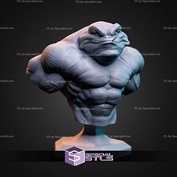 Bust of Zitz STL Files