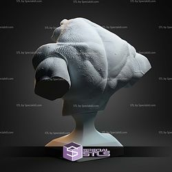 Bust of Zitz STL Files