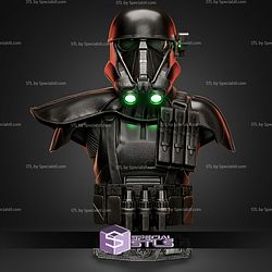 Imperial Death Trooper Portrait Bust H320mm STL Files