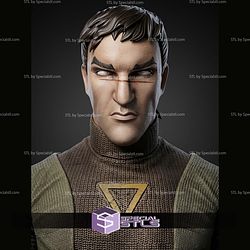 Kanan Jarrus Portrait Bust 320mm STL Files