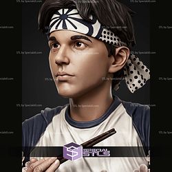 Larusso The Karate Kid Portrait Bust H281mm STL Files