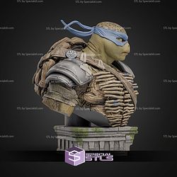 Leornado Bust 149mm STL Files