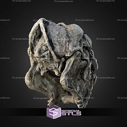 Life Size Rancor Skull STL Files