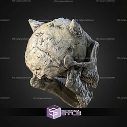 Life Size Trandoshans Skull STL Files