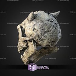 Life Size Trandoshans Skull STL Files