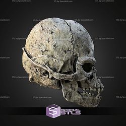 Life Size Wookie Skull STL Files