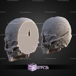 Life Size Wookie Skull STL Files