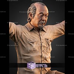 Miyagi The Karate Kid H490mm STL Files