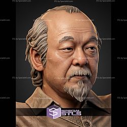 Miyagi The Karate Kid H490mm STL Files