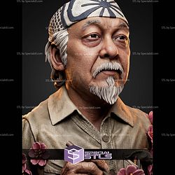 Miyagi The Karate Kid Portrait Bust H276mm STL Files