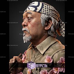 Miyagi The Karate Kid Portrait Bust H276mm STL Files
