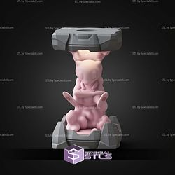 Pokemon Clone Lab Colletion Mew STL Files