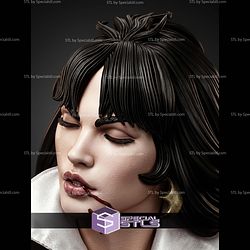 Vampirella Portrait 250mm STL Files