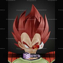 Vegeta on Planet Arlia STL Files