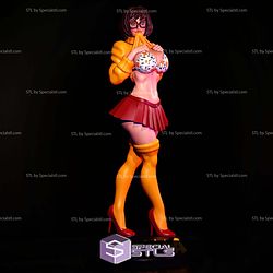 Velma Semi Realistic 304mm STL Files