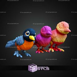Super Basic STL American Robin Bird