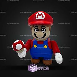 Super Basic STL Chunk Mario