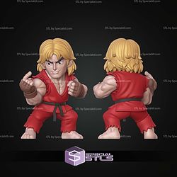 Super Basic STL Ken Street Fighter Multipart