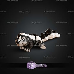 Super Basic STL Mini Skunk