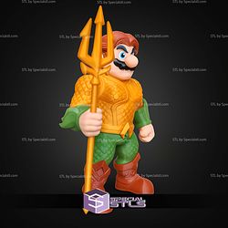 Super Basic STL No AMS Aquario Aquaman Mario