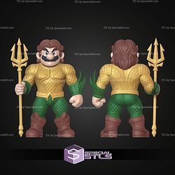Super Basic STL No AMS Aquario Aquaman Mario