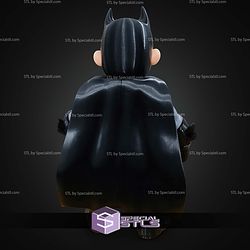 Super Basic STL No AMS Batmario