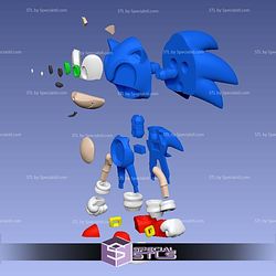 Super Basic STL Sonic Multipart
