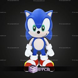 Super Basic STL Sonic Multipart
