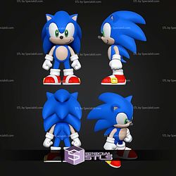 Super Basic STL Sonic Multipart