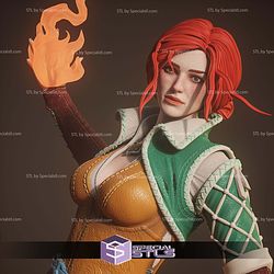 Triss Merigold The Witcher 3 1-6 STL Files