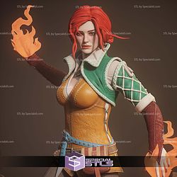 Triss Merigold The Witcher 3 1-6 STL Files