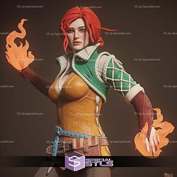 Triss Merigold The Witcher 3 1-6 STL Files
