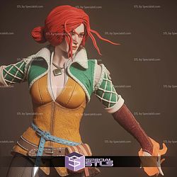 Triss Merigold The Witcher 3 1-6 STL Files