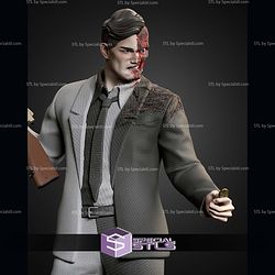 Two Face DC 1-6 STL Files