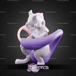 Basic Pokemon Collection Mew and Mewtwo